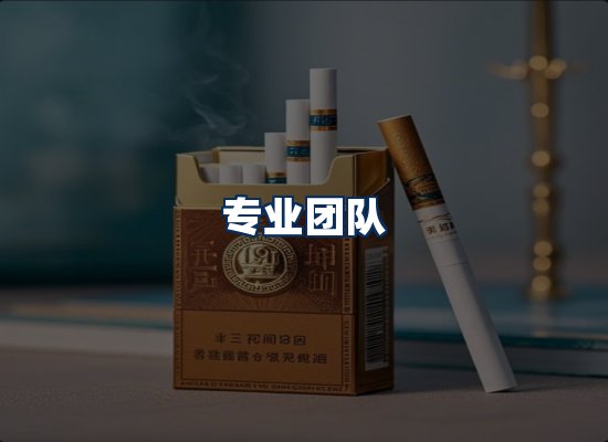 专业团队